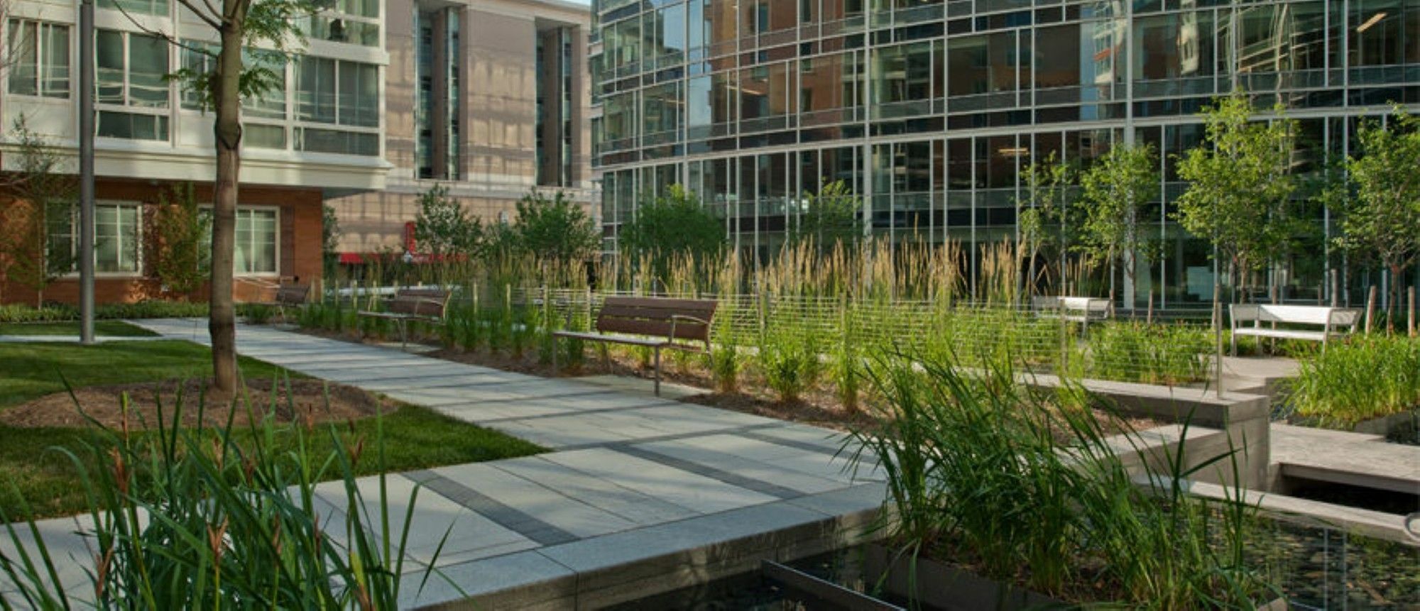 Global Luxury Suites At Foggy Bottom Washington Exterior foto